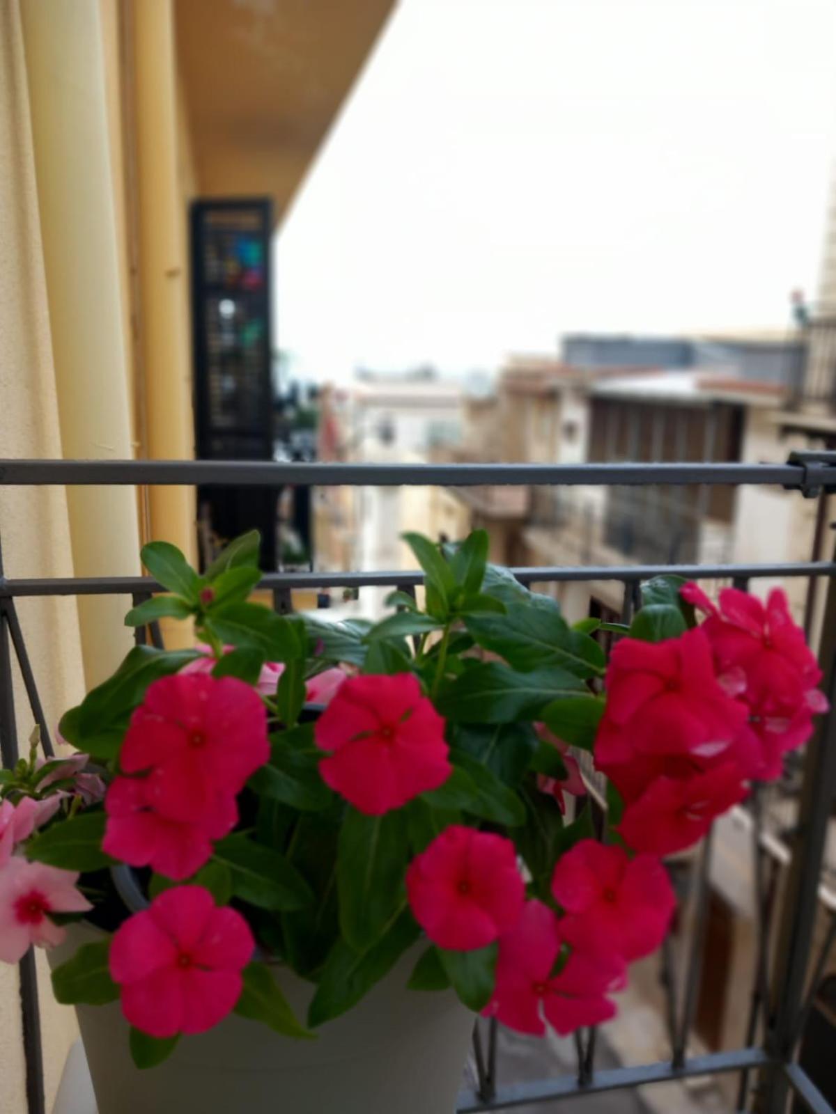 Caterina'S Room Кастелламмаре-дель-Голфо Экстерьер фото